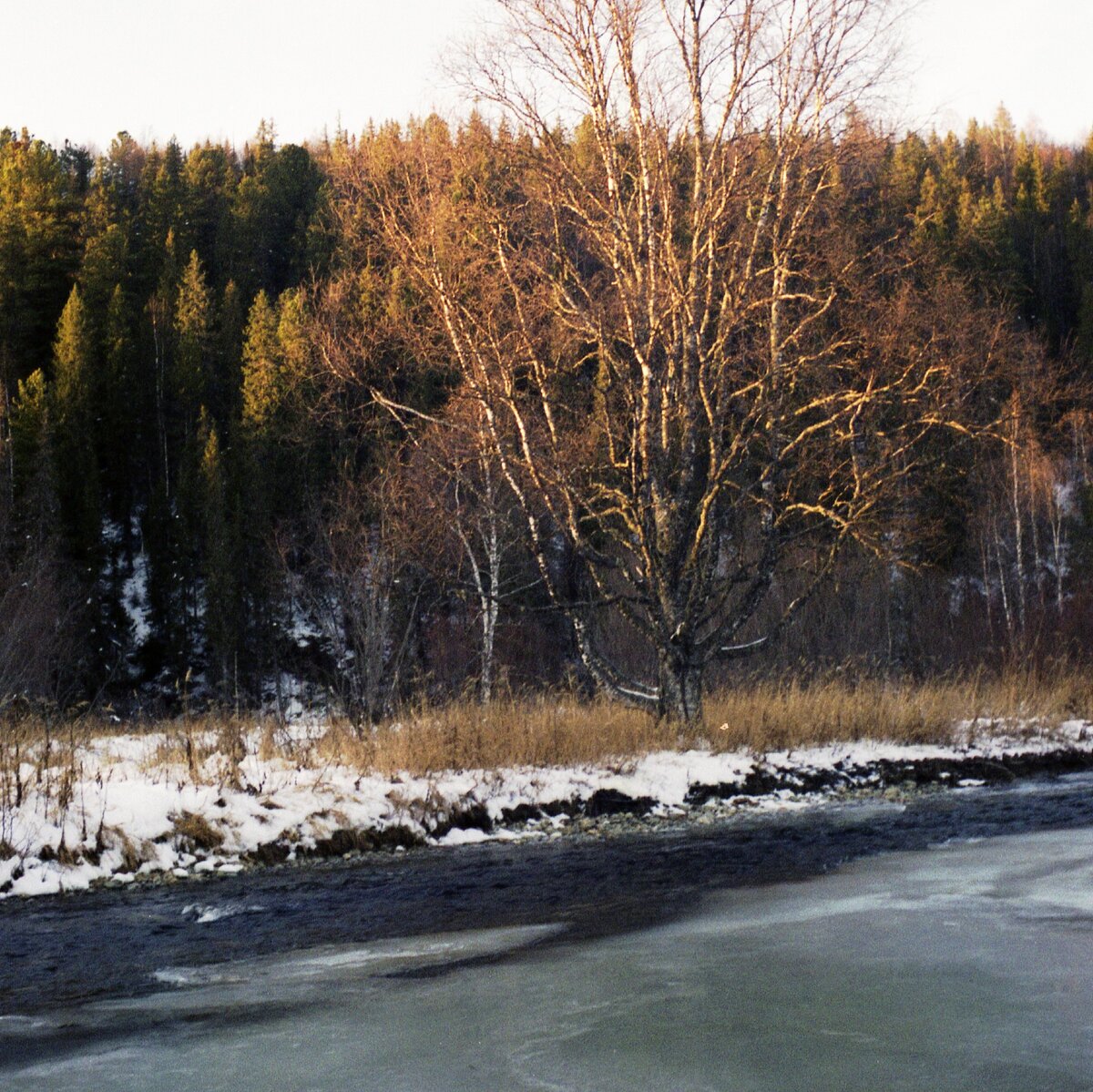 нынче в природе заказников больше чем природы - и это теперь заказник, а когда то - чья-то река (фото автора)