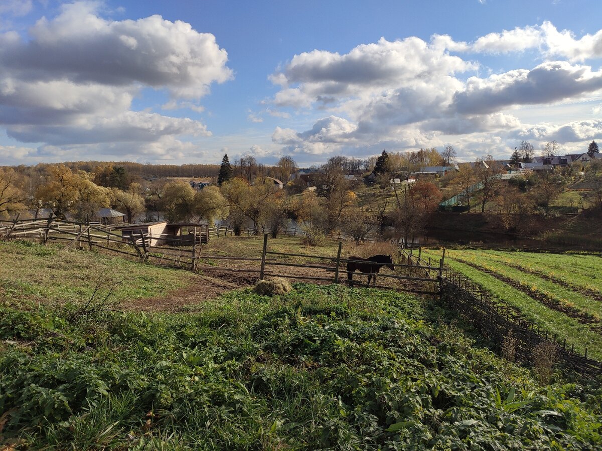 Фото автора канала Здесь и сейчас