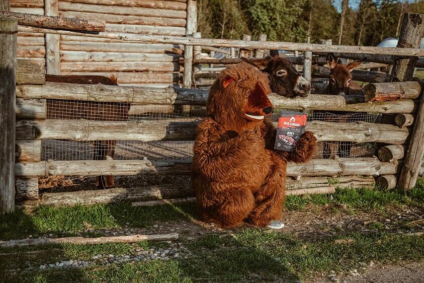 Смешной гризли и Big Chief