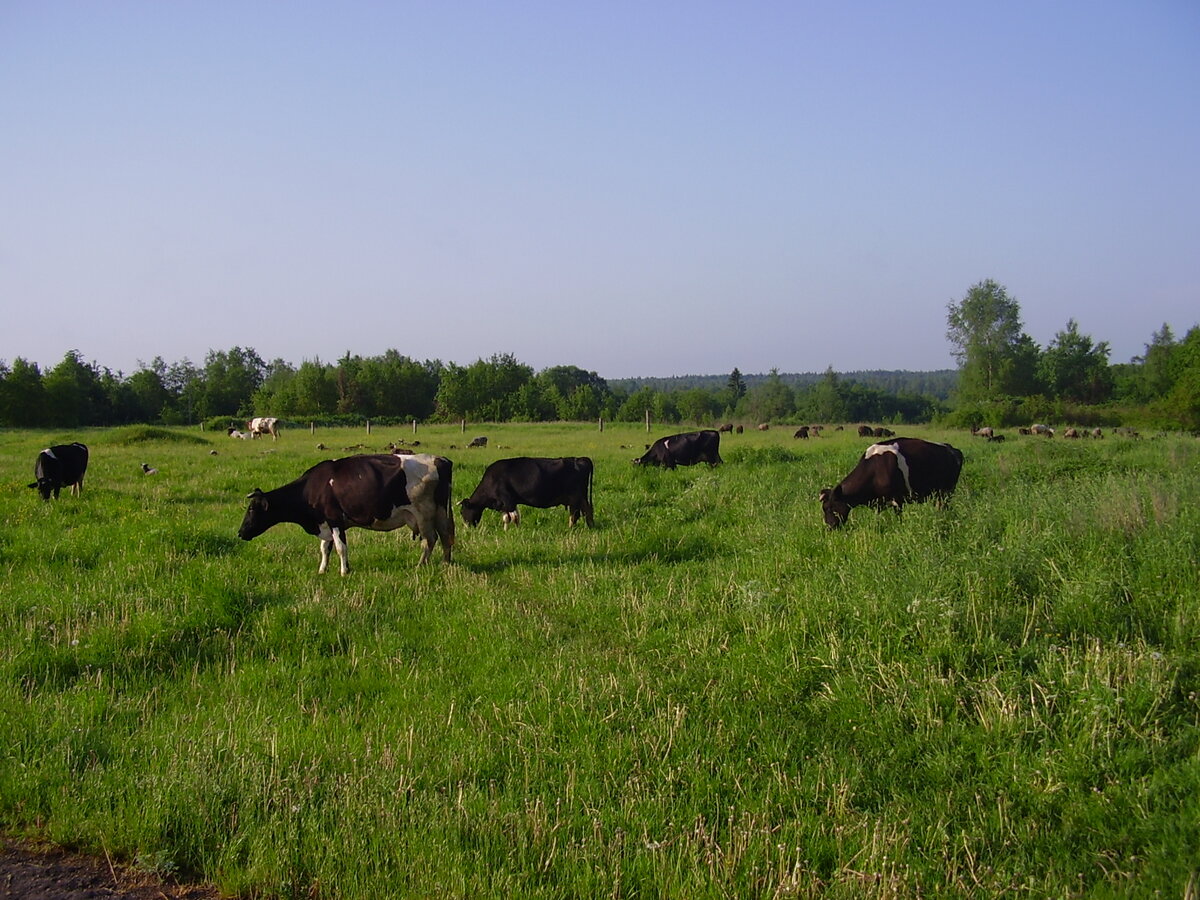 Фото из личного архива автора