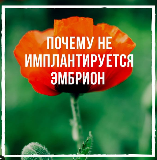 Почему не происходит имплантация