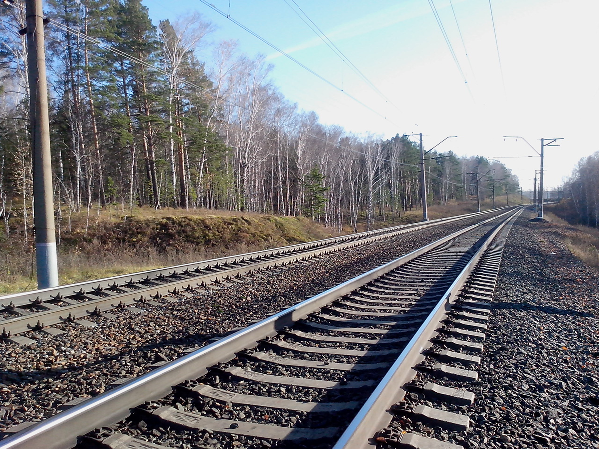 Изучения языка это дорога длинною в жизнь . фото  Виллевальд Маргариты