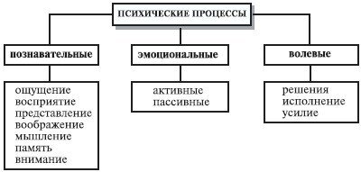 Психические процессы
