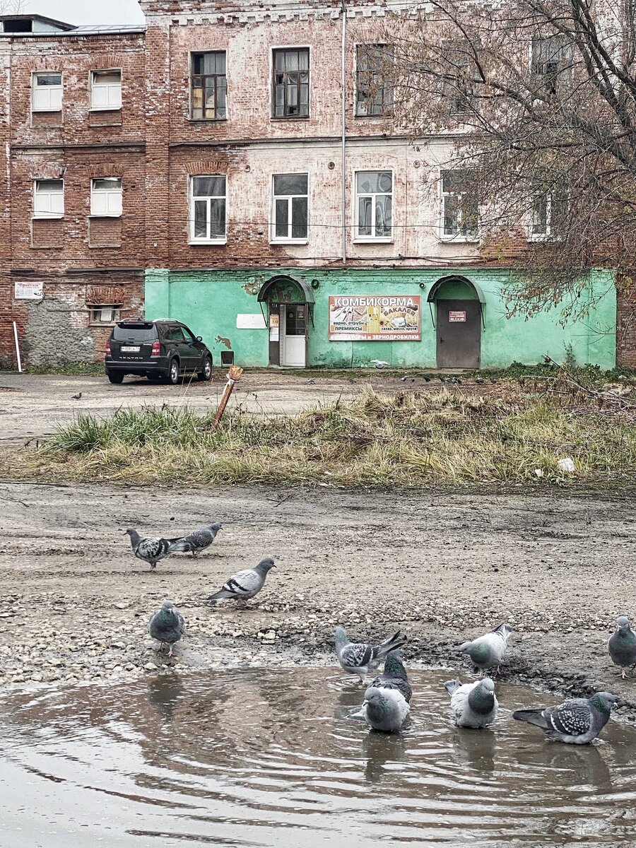 Собинка - городок, который не смог. Хорошо, что я был только проездом. |  Нетуристический путеводитель | Дзен