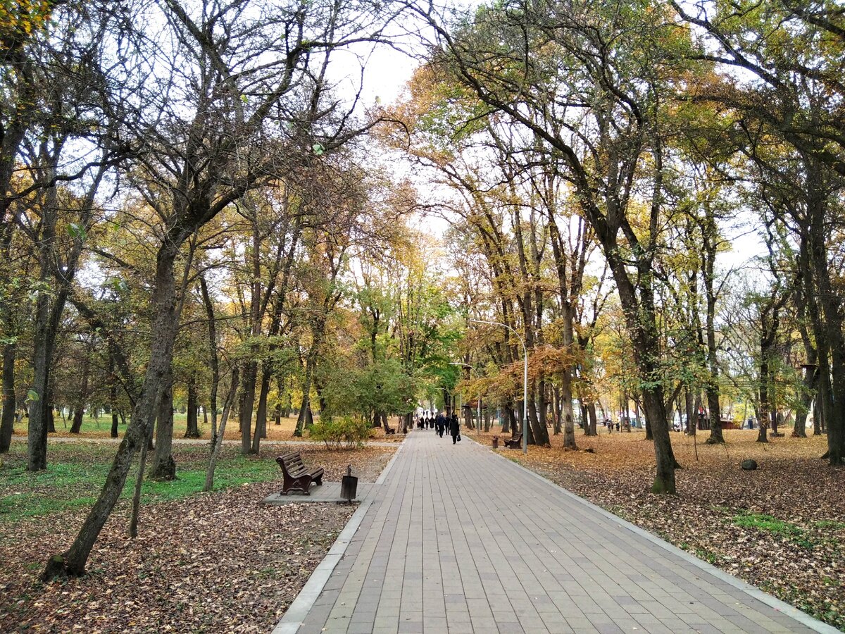 атажукинский парк в нальчике