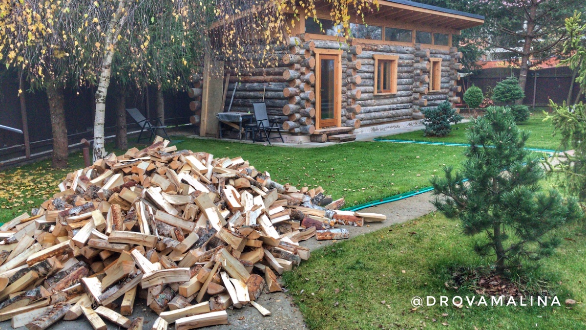 3 Куба березы