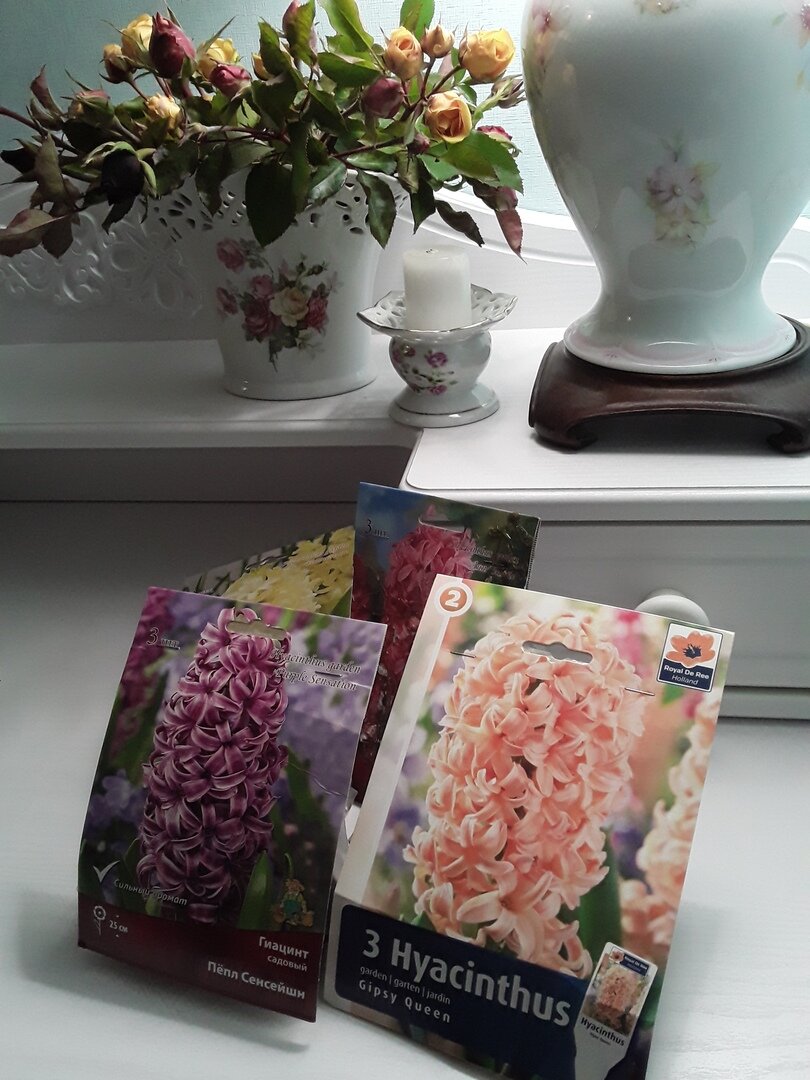 Довольный хомяк раскопал лучшее из худшего, приволок домой и радостно шуршал пакетиками