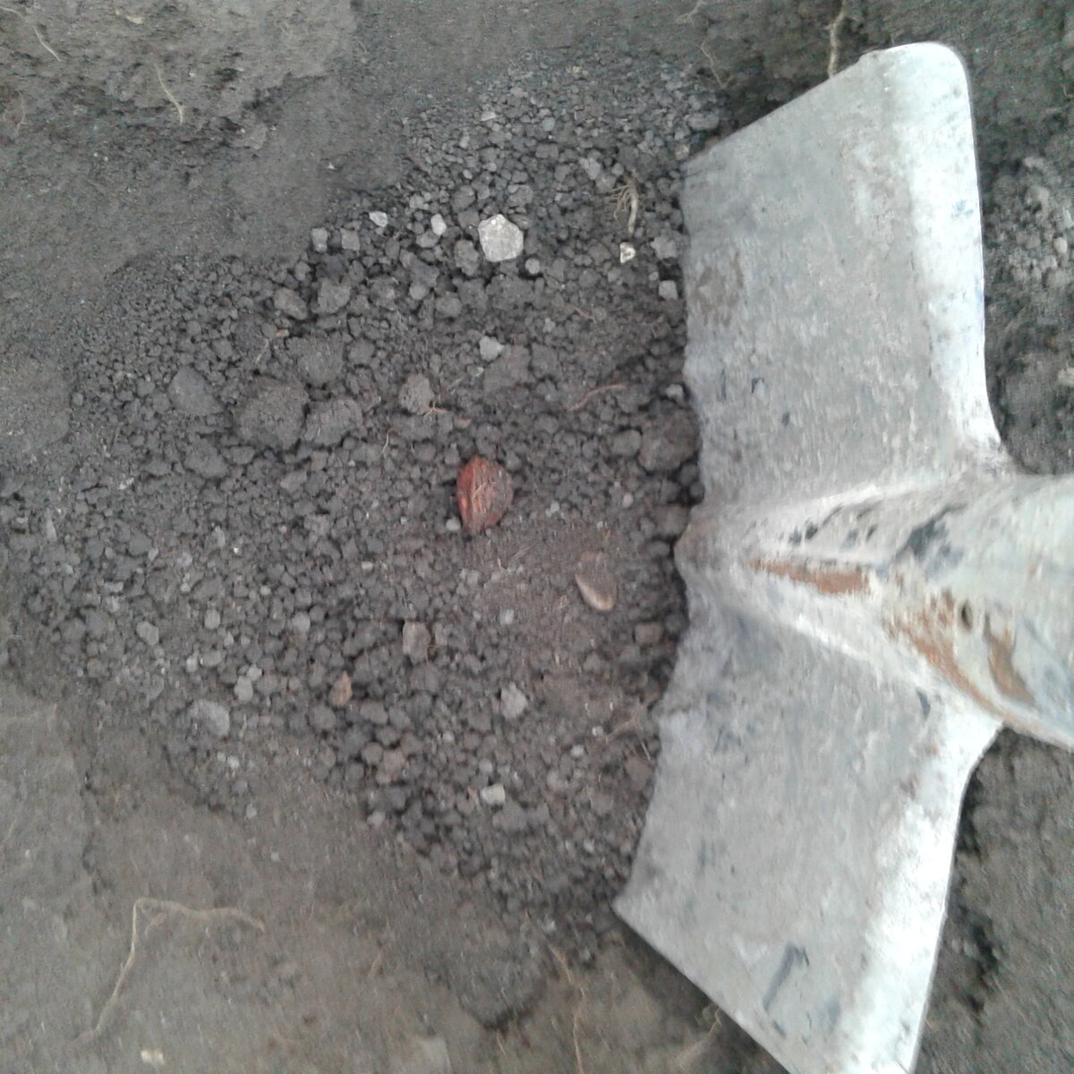 Косточка ставится на ребро