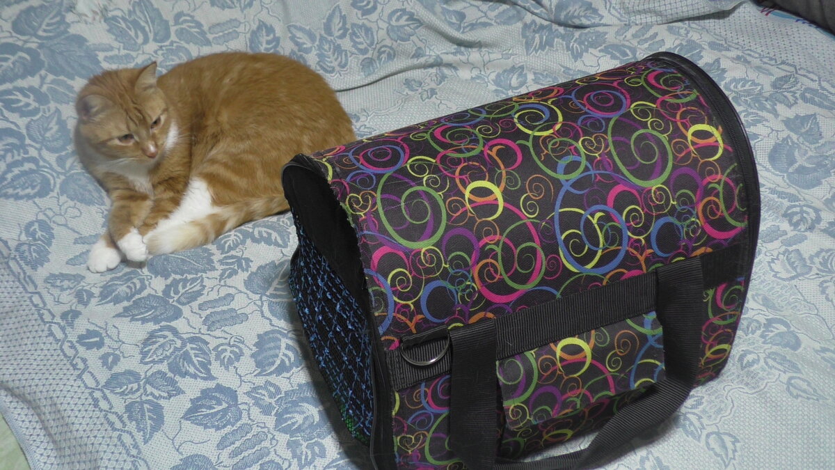 Тканевая переноска и киса Фанта, для которой мы будем её утеплять. 