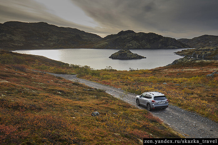 Едем по дороге