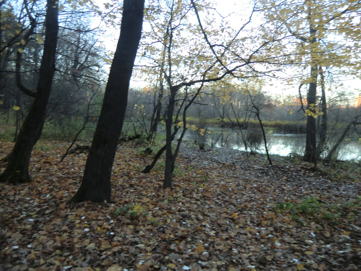 Россия. Москва. Парк Покровское-Стрешнево