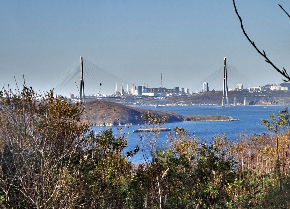 2 моста - ближний на остров Русский, дальний - через бухту Золотой рог