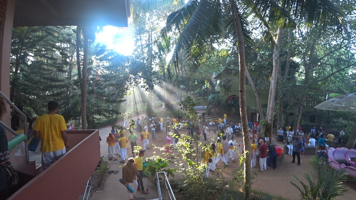 Tea time, Shivananda Ashram