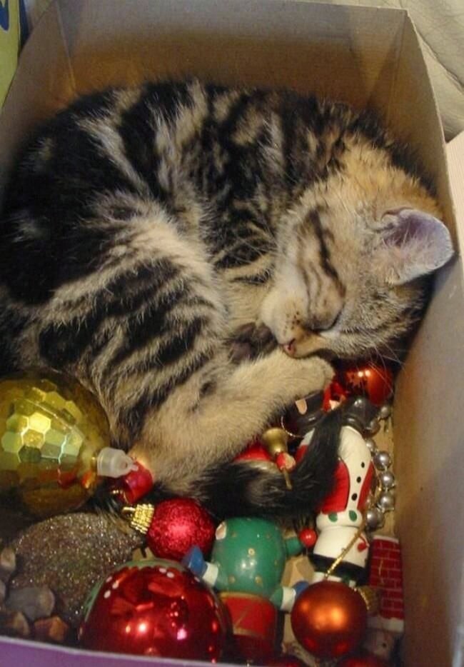 фото из интернета для примера читателям