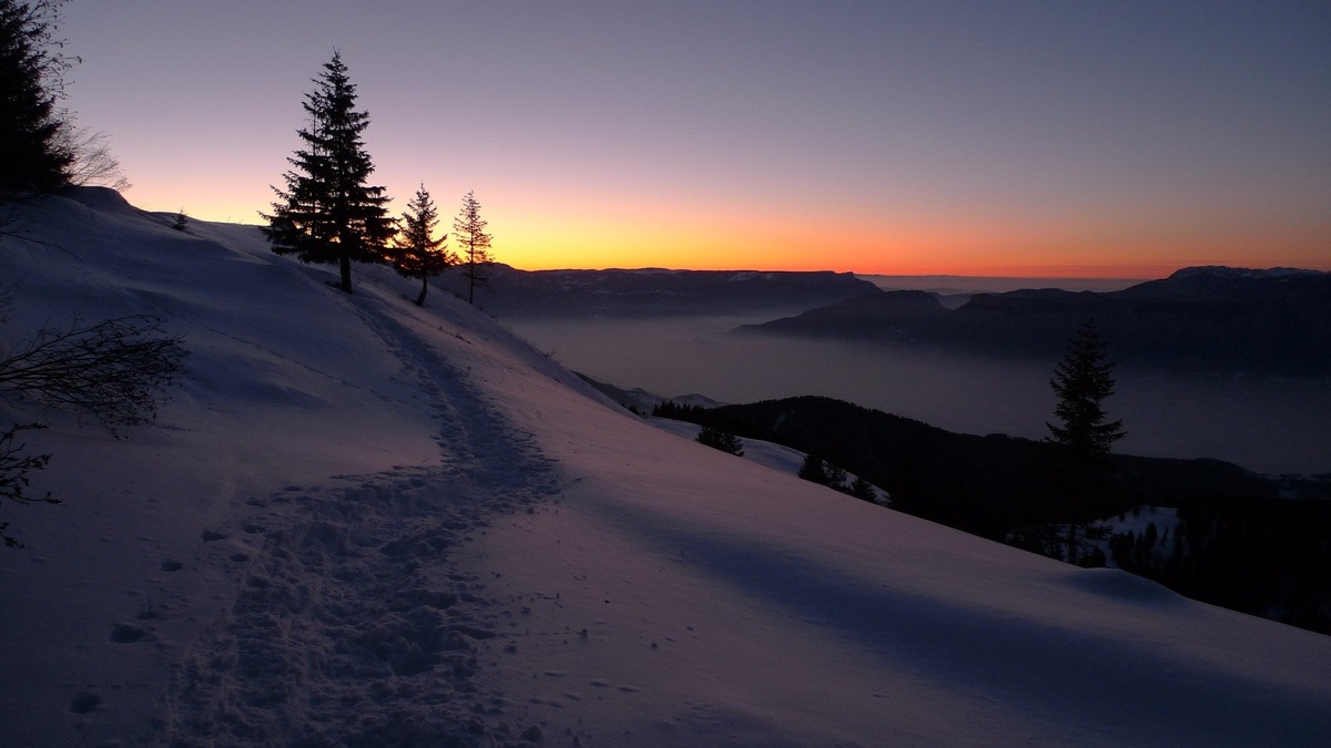 https://pixabay.com/ru/photos/