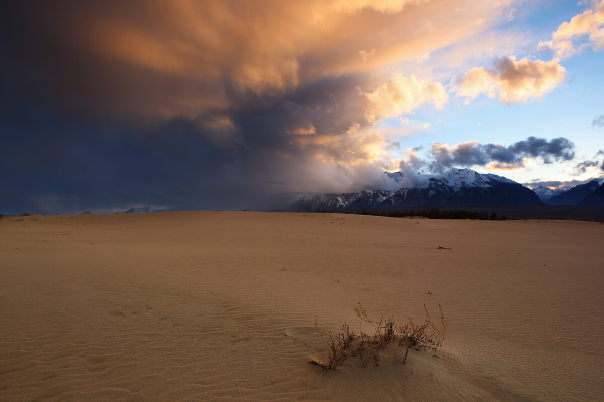 Вечерние краски сибирской пустыни