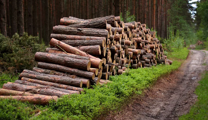 Фото: Яндекс.Картинки