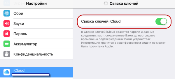 Как открыть связку ключей на iPhone