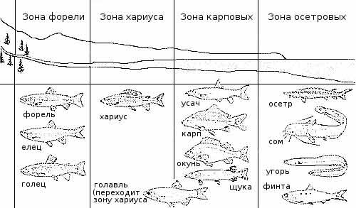 ловли рыбы в горных реках