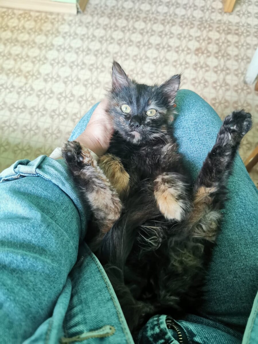 Приветики :))))