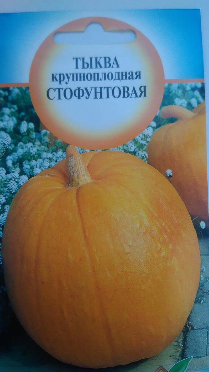 Очень вкусный сорт.