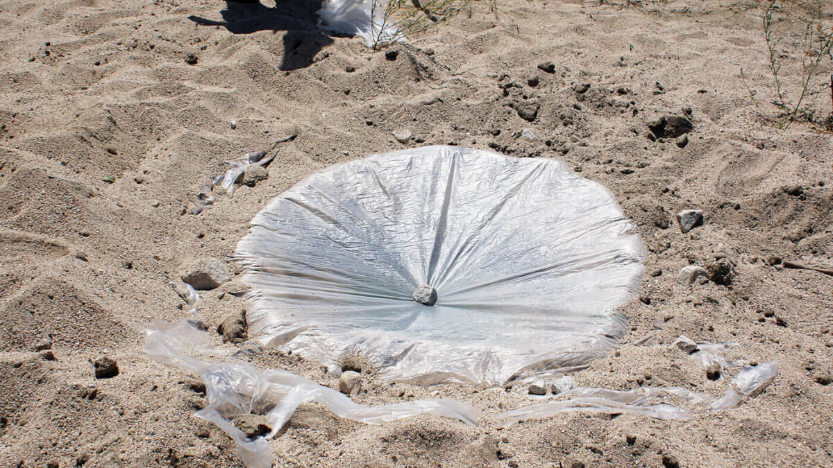 Один из способов добывания воды в пустыне