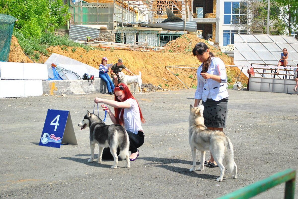 Я с Герой и профессиональный хендлер Злата Обидова со своим подопечным.