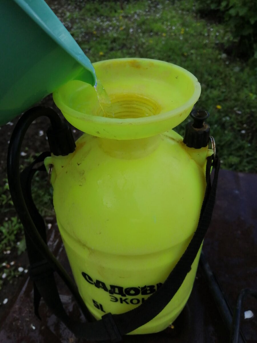 заливаем в опрыскиватель