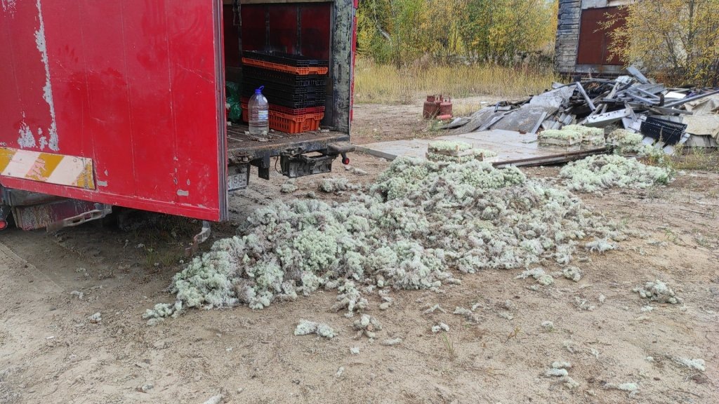    фото - страница депутата Игоря Заборовского "Вконтакте"