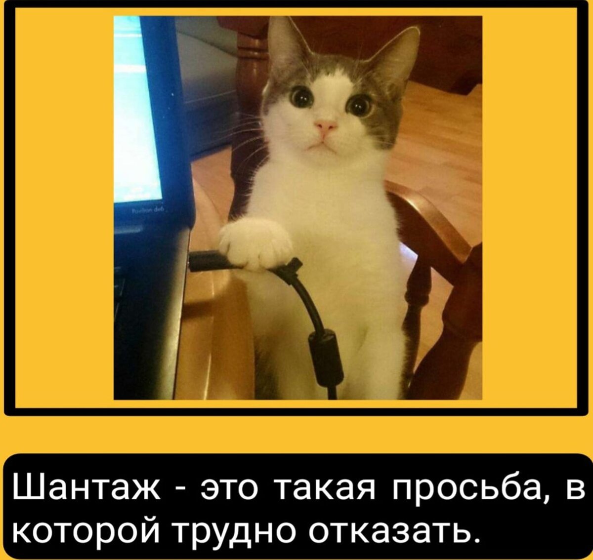 Совета от Частного детектива Намига Аббасова