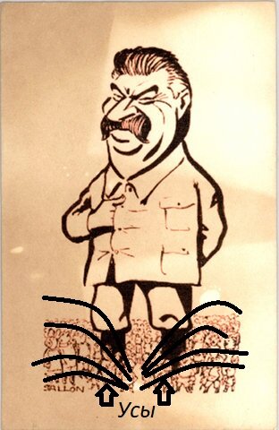 Сталин стоит в усах. Оптимизированная карикатура из Европы времен Второй мировой войны.