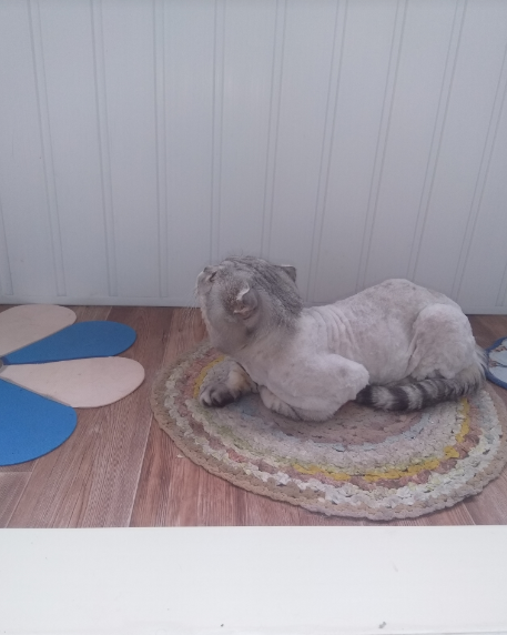 Птичка там, что ли?))