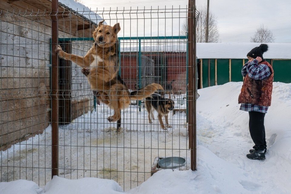     Фото: архив КП
