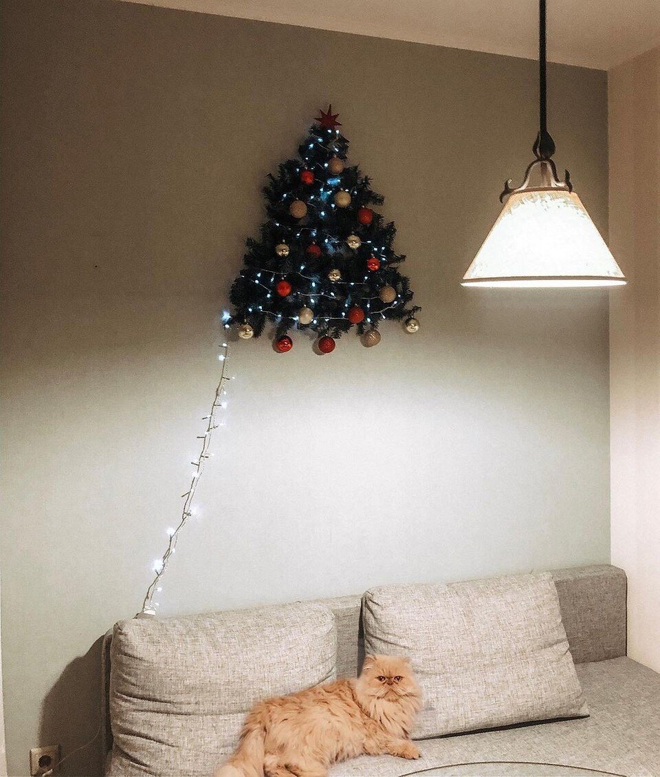    Соцсети блогера adamovskaya_ks