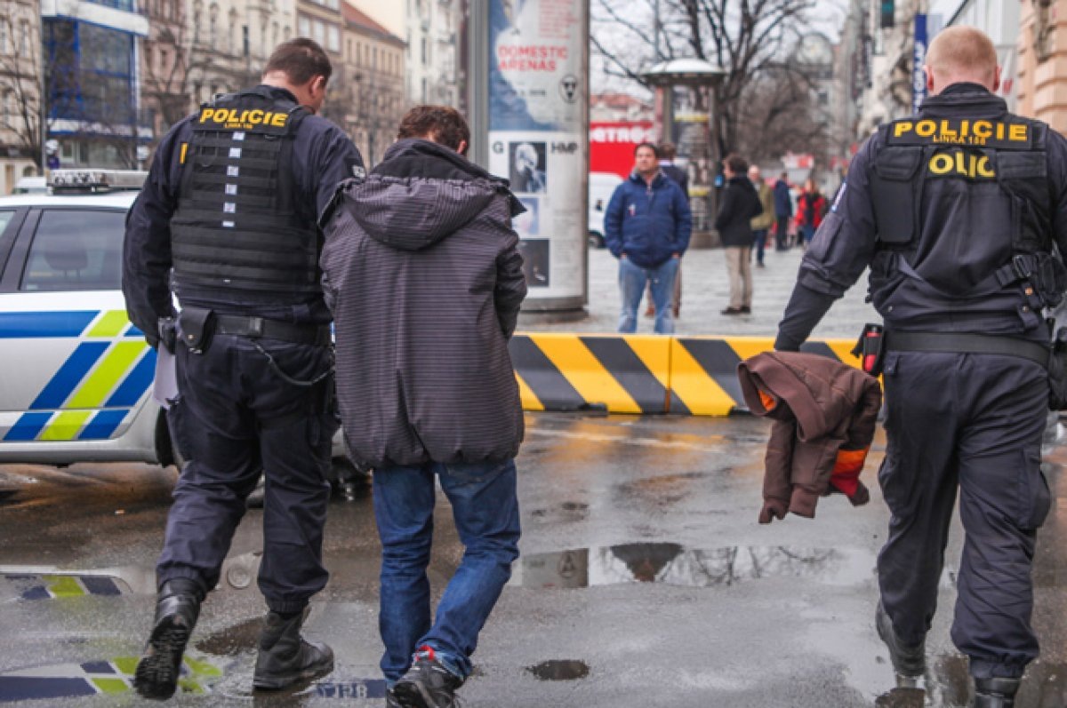    До 3 лет тюрьмы. Чехи могут угодить на нары за симпатию к России и Путину