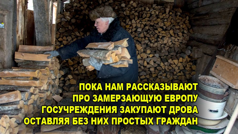 Дровами топят по всей России, в том числе в госучреждениях