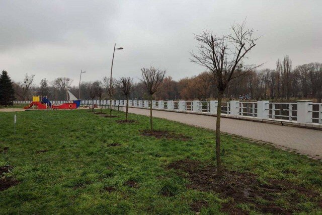   Фото: администрация Калининграда, «ВКонтакте»