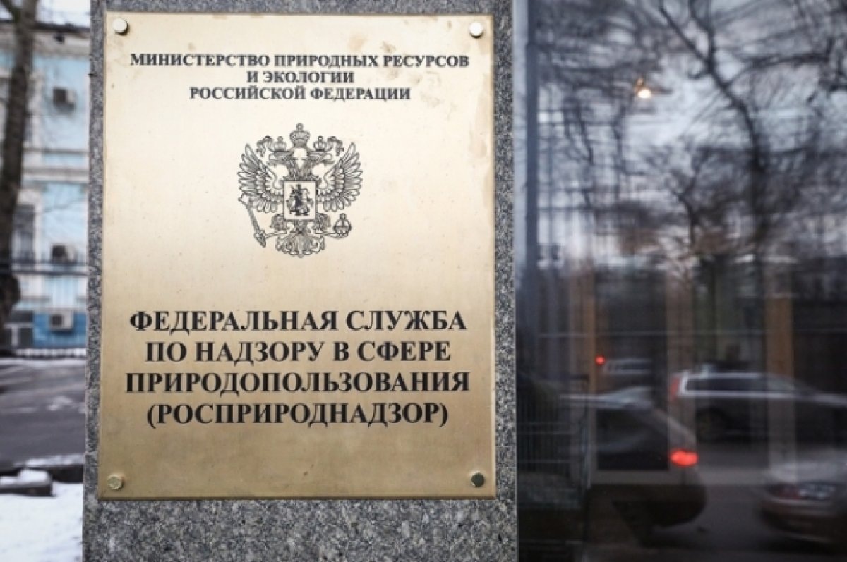    В РФ может появиться омбудсмен по правам животных