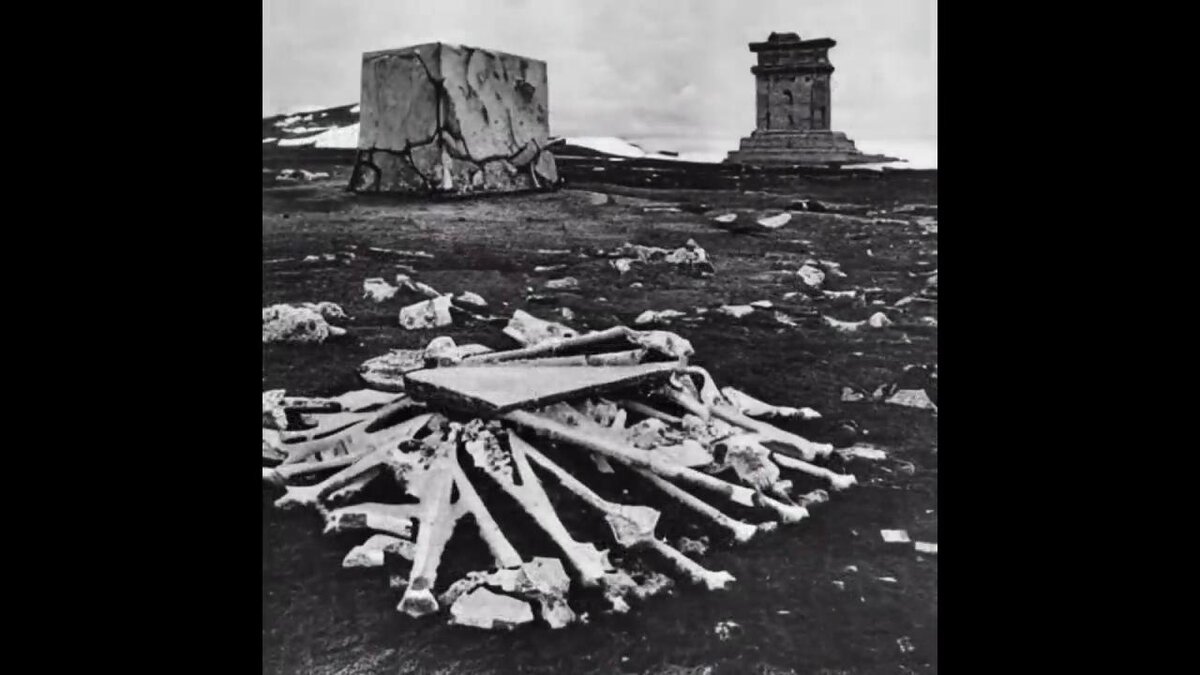 Секретные фотографии антарктиды 1912 года