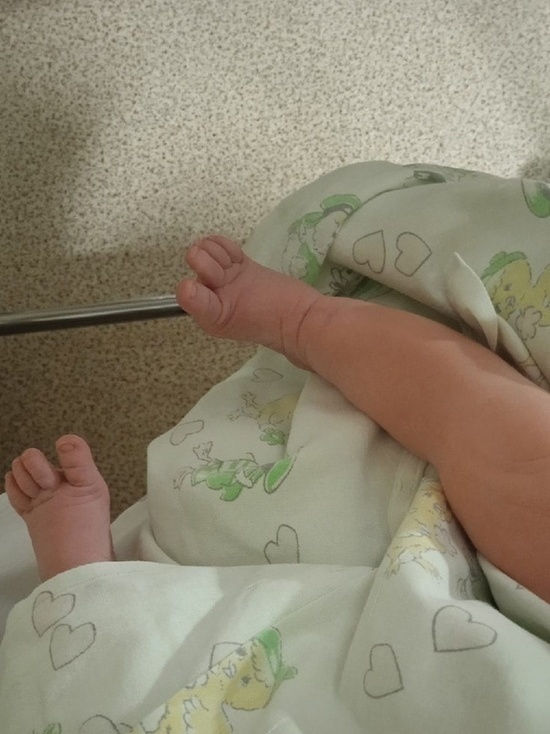     Архив "МК в Оренбурге"