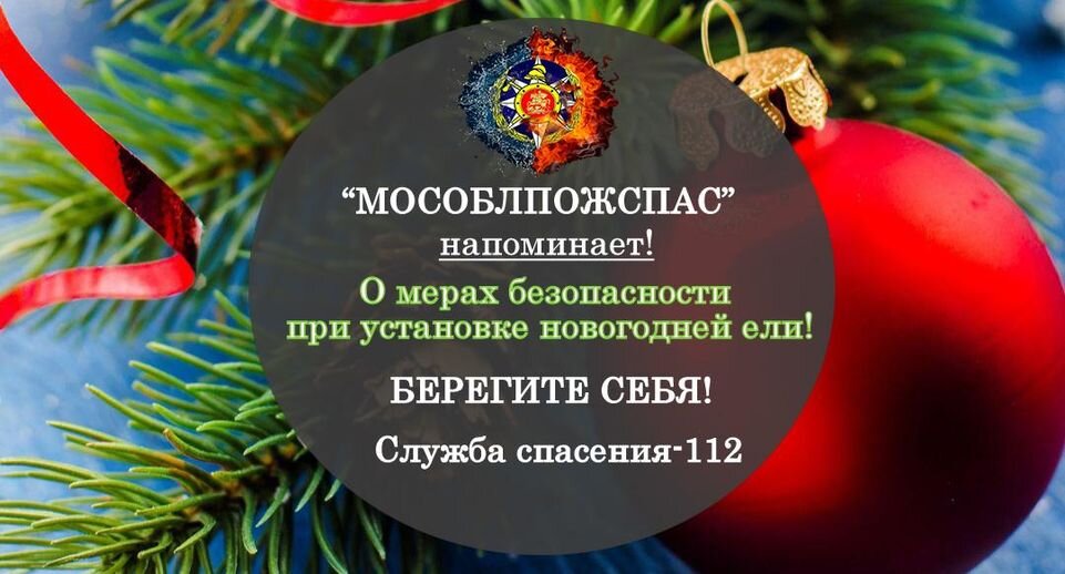 В период новогодних и рождественских праздников у нас приятно наряжать елку разноцветными шарами, гирляндами.