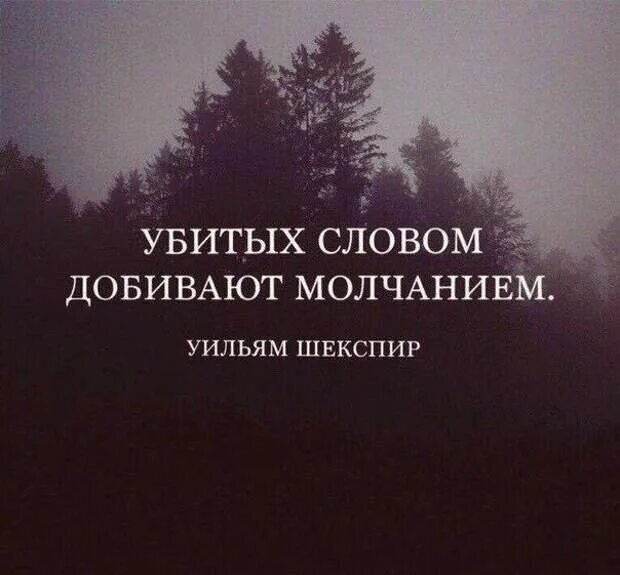 Фото взято из интернета 