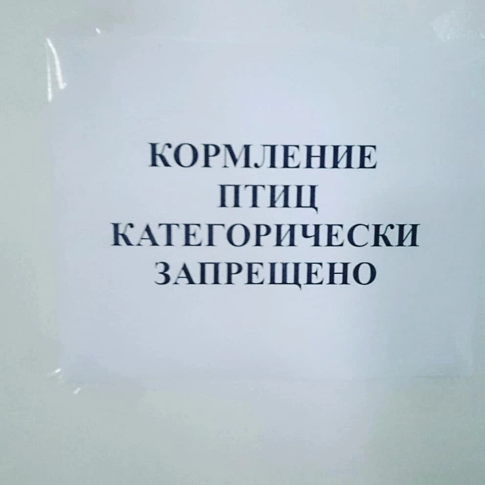 Не просто запрещено, а категорически!
