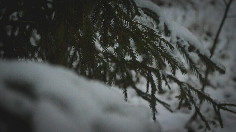     В Ростове-на-Дону в конце январских праздников резко похолодает до минус 8 градусов, сообщили в Гидрометцентре.