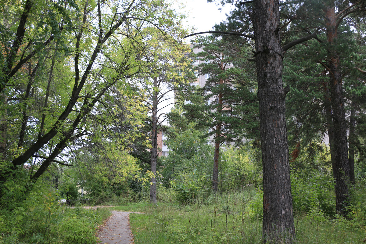 Ачинск, или Средняя Сибирь | Михаил Драбкин | Дзен