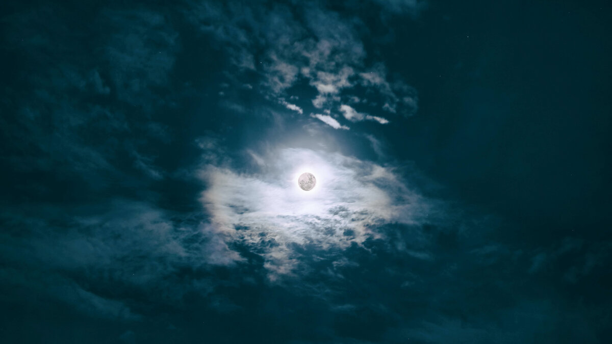 Photo by Spencer Arquimedes on Unsplash