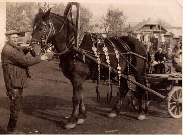 Фотография из общедоступных источников