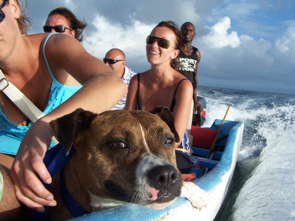 Фотогалерея курортов Доминиканы