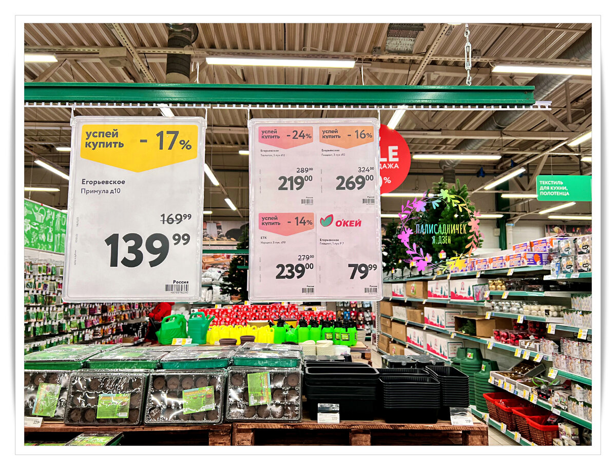 Сейчас в тексте цены продублирую.