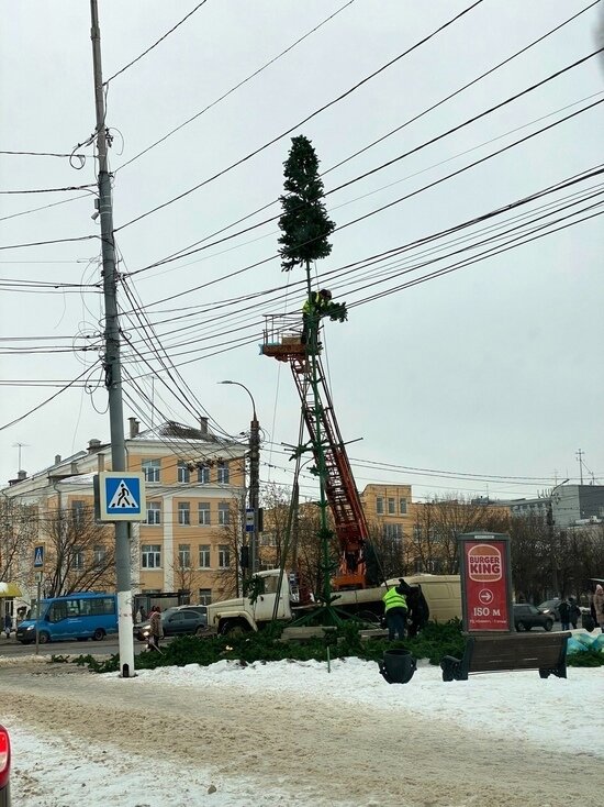     Фото: Светлана Петрова/ «Тверь ВКонтакте»